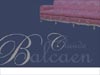 projet pour la 1ere page pour le catalogue de L'etablissement BALCAEN  - creation graphique